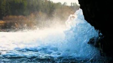 Bir dağ şelalesi ormandaki bir nehre akar, doğa ormandır, uzun ağaçların arka planında nehrin güzel bir arka planı vardır.