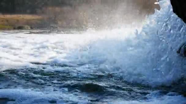 Närbild Ett Vattenfall Skogsfloden Bergsfloden Rinner Ner Vatten Stänk Natur — Stockvideo