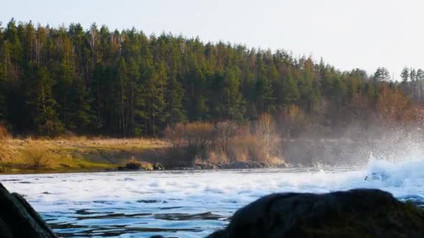 Der Fluss Fließt Durch Den Waldstreifen Mit Einem Schönen Hintergrund — Stockvideo
