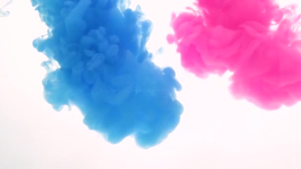 Explosão Tintas Com Tons Azuis Rosa Fundo Branco Misturado Com — Vídeo de Stock