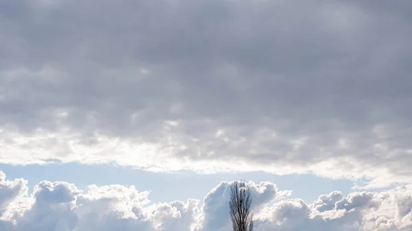 Boom Staat Hoog Wolken Mooie Wolken Het Klimaat Verandert Pluizige — Stockfoto