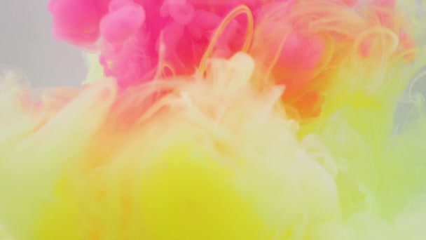 带有粉红色彩的丙烯酸涂料爆炸 色彩斑斓的白烟在白色背景上的美丽背景 液态丙烯酸涂料 — 图库视频影像