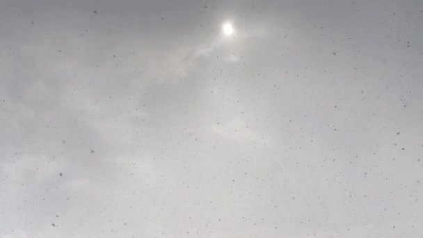 Schöner Schneesturm Vor Dem Hintergrund Der Sonne Hinter Den Wolken — Stockvideo