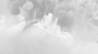 Siyah ve beyaz duman patlaması, arka plan dumanı, akrilik boyaların çözülmesi, gökkuşağı dumanı, mürekkep boyalarının soyut arkaplanı. Renkli soyut duman patlaması