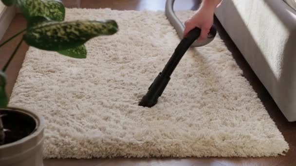 Membersihkan Karpet Bulu Domba Membersihkan Karpet Berbulu Dengan Vacuum Cleaner — Stok Video