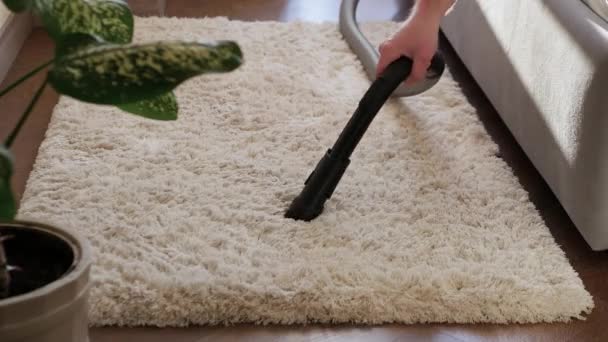 Nettoyage Des Tapis Molletonnés Nettoyage Des Tapis Moelleux Avec Aspirateur — Video