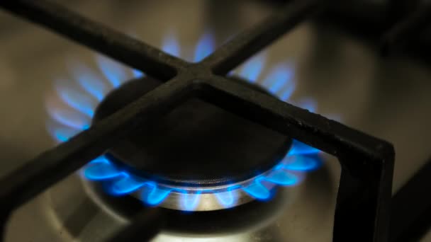 ガスバーナーのクローズアップ キッチンバーナー ストーブの上のプレートは青い炎に点火する 天然ガス点火 — ストック動画