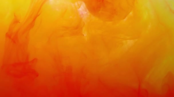 Renkli Tonlarla Karıştırılmış Kırmızı Sarıların Patlaması Yumuşak Odaklı Akrilik Boyalar — Stok video