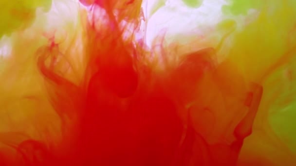 Renkli Tonlarla Karıştırılmış Kırmızı Sarıların Patlaması Akrilik Boyaların Çözülmesi Gökkuşağı — Stok video