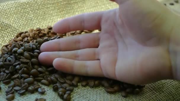 Eski Bir Bez Torbada Kahve Çekirdekleri Kahve Çekirdeği Yetiştirmek Için — Stok video