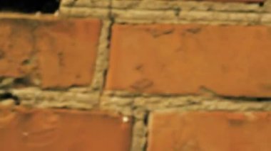 Background red brick wall close up. Copy space. Brick wall with camera movement.