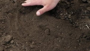 A farmer checks the soil for growing vegetables. A farmer checks the condition of the land for gardening. Rural area for cultivation