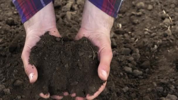 Farmer Checks Condition Land Gardening Black Earth Growing Vegetables Farmer — Stock Video