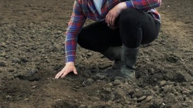 Farmel strokes the black earth with his hands. A farmer in boots on black soil checks the soil for growing vegetables, checks the soil, analyzes the fertilizer of the land, the farmer checks the condition of the land for gardening