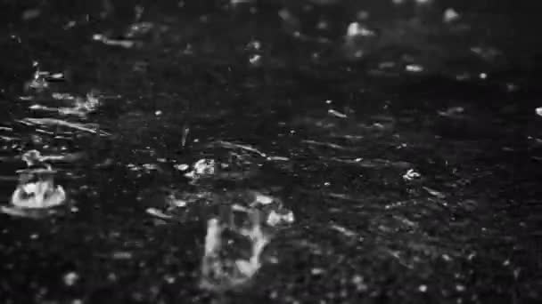 Regen Dunkeln Wasserspritzer Fallen Auf Den Boden Regenguss Auf Der — Stockvideo