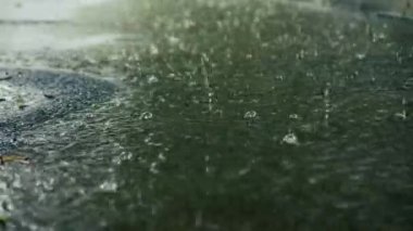 Yağmur damlaları yere düşer. Su birikintisine düşen yağmur damlaları. Su sıçraması.
