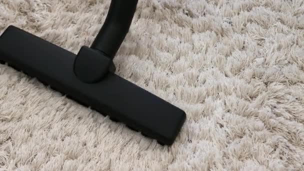 Vacuum Karpet Berbulu Membersihkan Apartemen Dengan Vacuum Cleaner — Stok Video