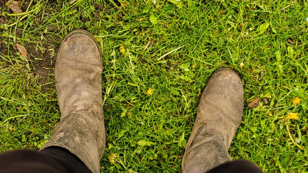 The legs are shod in old boots. Farmer\'s feet in boots standing on green grass.
