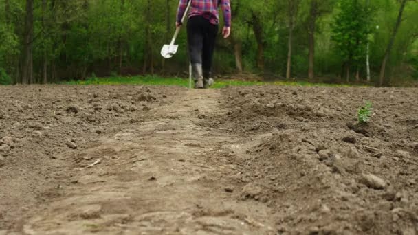 Ένας Αγρότης Ένα Φτυάρι Στο Χέρι Περπατά Στο Μαύρο Χώμα — Αρχείο Βίντεο