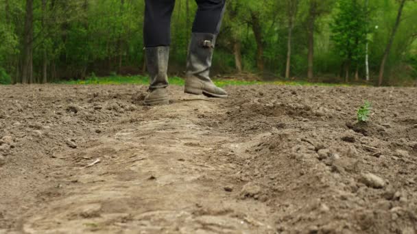 Der Landwirt Begutachtet Das Grundstück Garten Beine Stiefeln Auf Schwarzem — Stockvideo