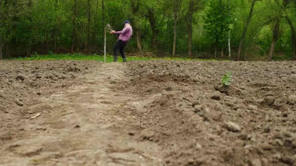 Χαρούμενος Αγρότης Που Διασκεδάζει Στον Κήπο Αγρότης Φαντάζεται Παίζει Κιθάρα — Αρχείο Βίντεο