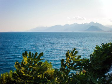 Dağ manzaralı güzel deniz manzarası. Deniz ufku yeşillik ve dağlarla