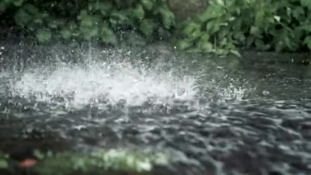 水流急 雷雨冲刷着地面 外面正涌出一股水来 水花背景 — 图库视频影像