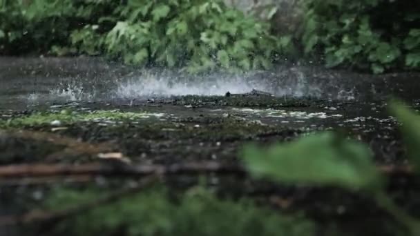 Egy Erős Vízsugár Fröccsen Földre Vihar Esős Háttér Víz Fröccsenés — Stock videók