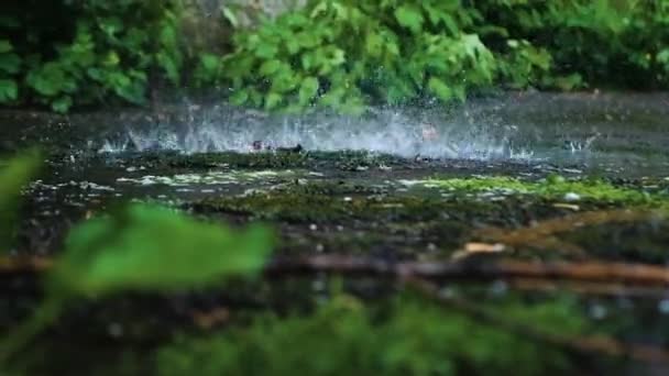 Egy Erős Vízfolyam Fröccsen Földre Vihar Esős Háttér Víz Fröcskölés — Stock videók