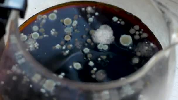 Partikel Virus Jamur Dalam Minuman Jamur Tua Dalam Cairan — Stok Video