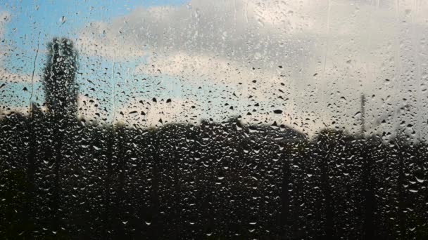 빗방울 아름다운 비오는 날입니다 질감을 떨어뜨려 — 비디오