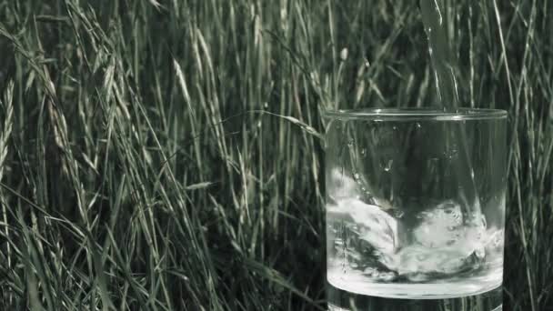 Verser Eau Dans Verre Dans Village Sur Herbe Eau Potable — Video