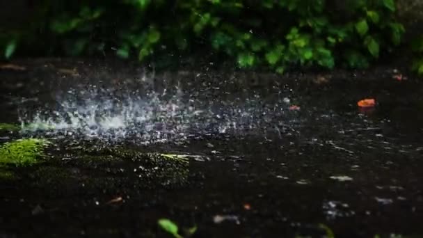 Des Éclaboussures Pluie Estivale Sur Asphalte — Video