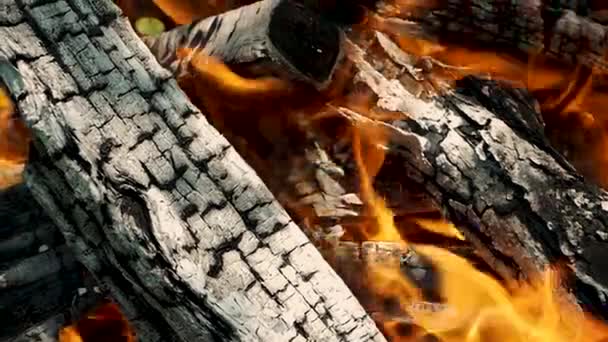 薪に火をつけ 石の暖炉で切った木を燃やす 火の焚き火 木の上でオレンジの炎を燃やす — ストック動画