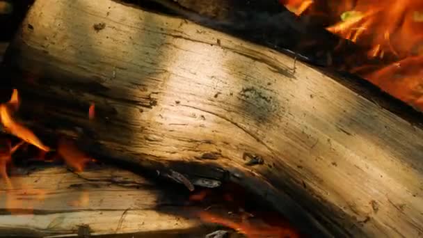 Close Van Gehakte Brandhout Branden Vuur Hout Het Verbranden Van — Stockvideo