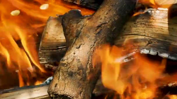 Kesilmiş Odun Tahtada Ateş Şöminede Yakılan Odun Ateş Şenliği — Stok video