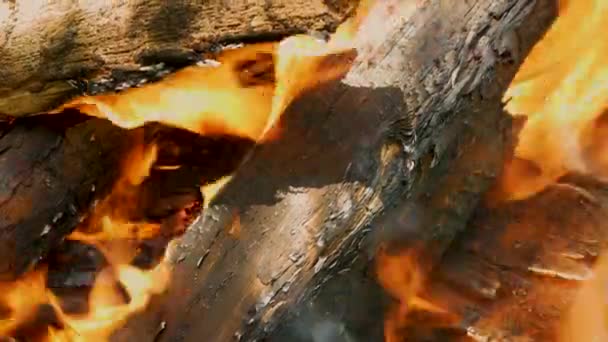 特写背景美丽的柴火熊熊燃烧 用橙色的火焰慢慢地把劈开的木头烧在石头壁炉里 — 图库视频影像
