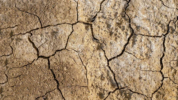 Soil in cracks, drought from climate change, soil dried from the sun in the cracks. The climate is changing.
