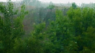 Yağmurlu bir yaz günü, bardaktan aşağı süzülen su damlaları yağmurlu bir günde rüzgarda sallanan ağaçlar..