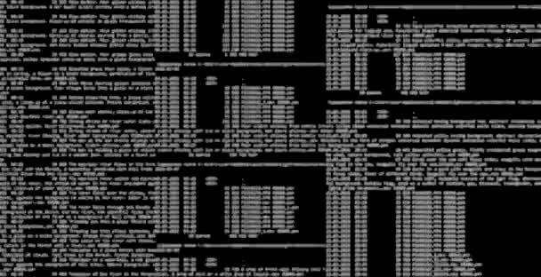 Typ Codes Het Toetsenbord Hacker Lijn Een Computer Monitor Zwart — Stockvideo