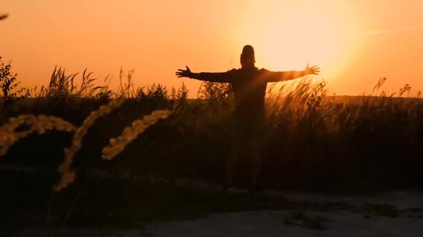 幸せな男は夕日を楽しんで 男は太陽を見て両側に自分の腕を広げました 自然の中で男がオレンジの色合いの夕日を楽しんでいます 幸せな男のシルエット — ストック動画