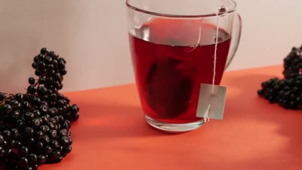 Thé Sureau Tisane Rouge Sureau Mûr Avec Une Tasse Thé — Video