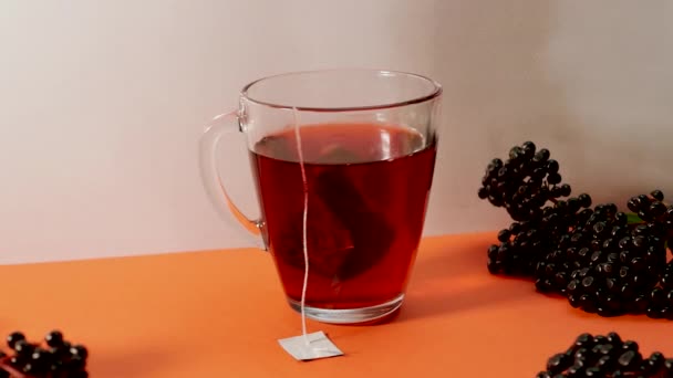 接骨木背景的接骨木浆果红接骨木莓汁 — 图库视频影像