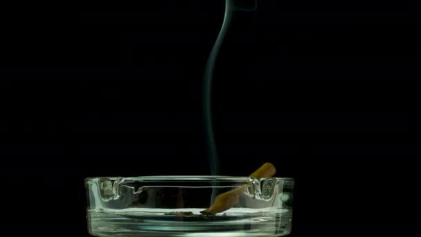 Сигара Тлеет Пепельнице Черном Фоне Копировального Пространства Курительный Дым — стоковое видео