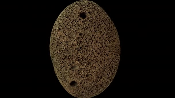 Stone Spinning Auf Schwarzem Hintergrund Fußpeeling Nahaufnahme Körperpflegeprodukt — Stockvideo