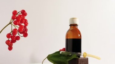 Beyaz arka plan fotokopi alanında tütsülenmiş rowan çileği. Homeopati bitkisel tedavisi. Kavanozda ilaç