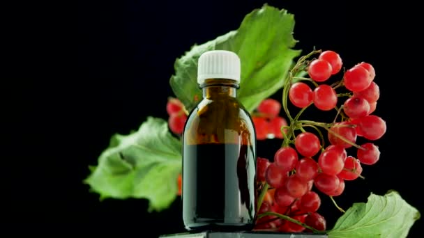 Healing Mountain Ash Oil Herbal Tincture Homeopathic Plant Vial Red — Stock Video