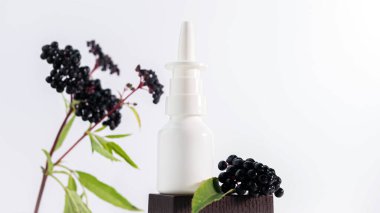 Beyaz arka planda Mürver böğürtlen ilacı, siyah böğürtlen homeopatik ilacı, fotokopi alanı. Yağ ya da bitkisel tentür spreyi.