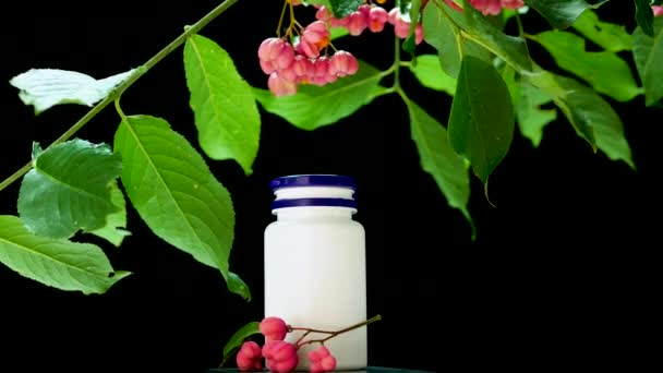 エオニマスベリー ホメオパシー黒を背景に天然のハーブや植物から薬を癒します カプセルや錠剤の写真 白い瓶の中の赤い薬用ベリー — ストック動画