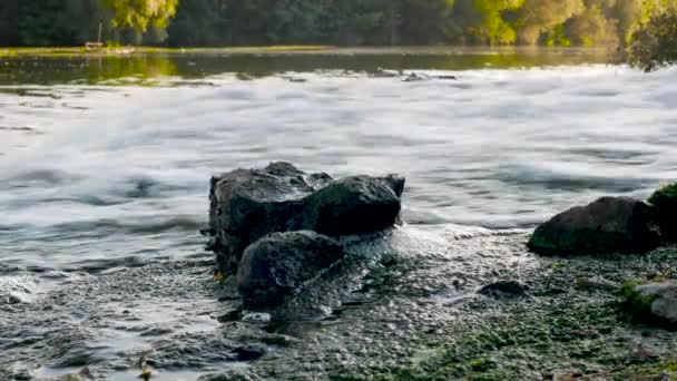 Bos Rivier Met Sterke Waterstroom Close Natuur Achtergrond Met Rivier — Stockvideo